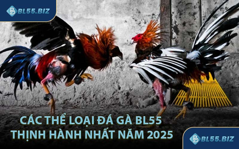 Các Thể Loại Đá Gà BL55 Thịnh Hành Nhất Năm 2025